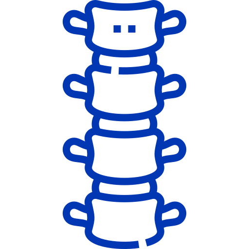 icona colonna vertebrale